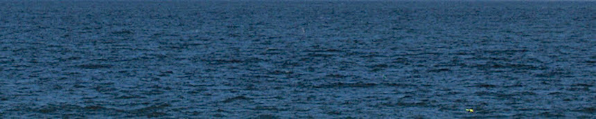 Ocean Blog image 2